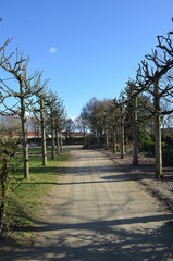 Parc de la Balinière