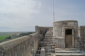 Abbaye de Montmajour