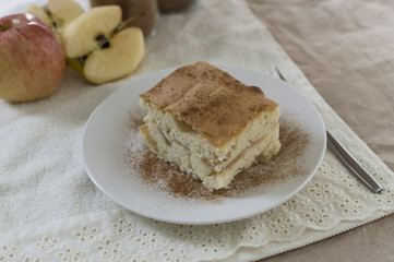 Homemade apple cake on plain paper and cloth napkin