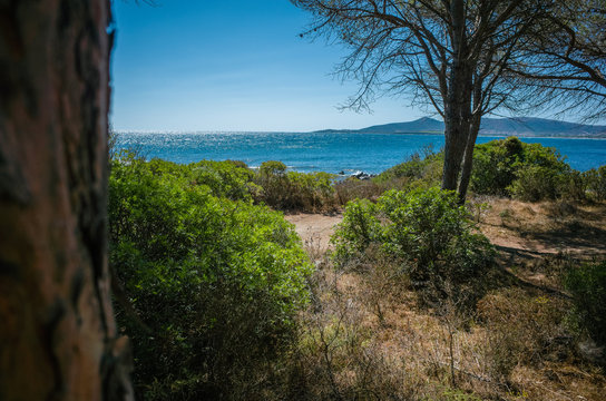 Bosquets Sardaigne Budoni