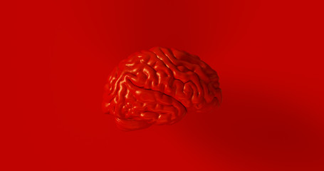 Red Human brain Anatomical Model 3d illustration	