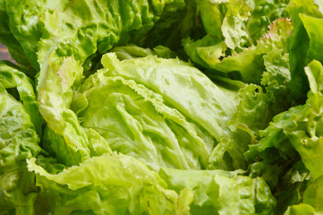 Raw Nutrition Facts & Calories Iceberg lettuce