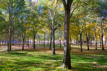 Naklejka premium セゴビア 公園 Alameda de la Fuencisla