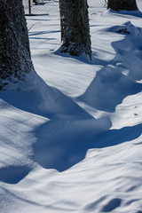 winter view; the ditch is partially buried with snow; There are large, thick trees along the ditch;...