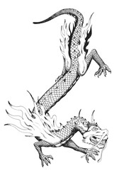 Chinese dragon isolated