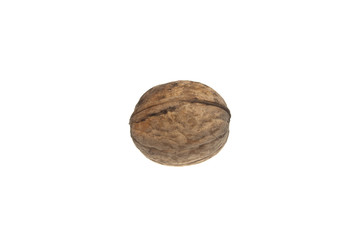 walnut isolated on white background