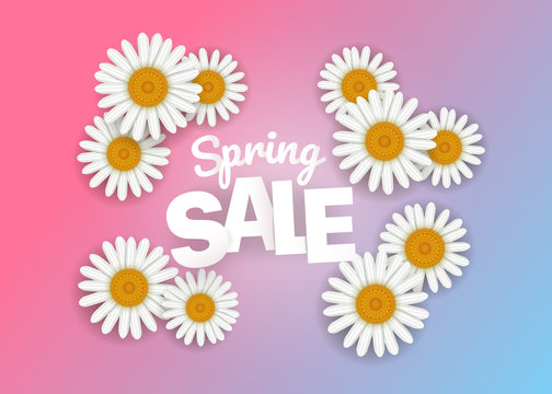 Spring sale offer. Season sale vector banner with white camomile. Square composition