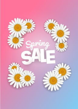 Spring sale offer. Season sale vector banner with white camomile. Vertical composition