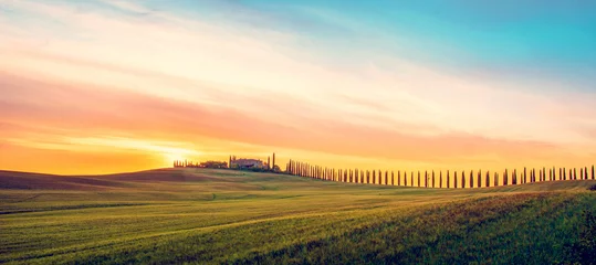 Foto op Canvas Prachtig magisch landschap met een veld en een lijn van cipressen in Toscane, Italië bij zonsopgang © anko_ter
