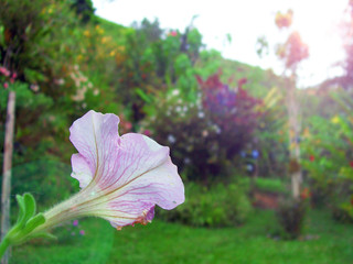 Jard&iacute;n encantado