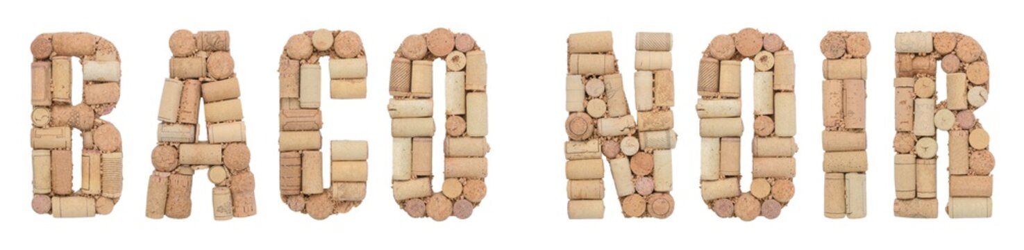 Grape variety Baco Noir made of wine corks Isolated on white background