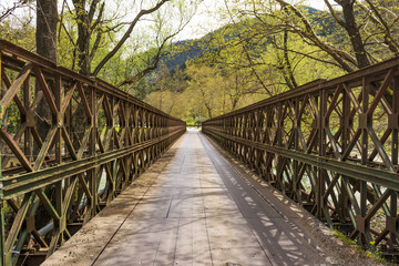 A metallic bridge across a mountain river.