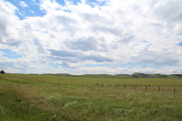 Rolling Hills Along Highway 22, Alberta