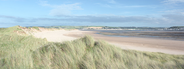 Sand dunes at Crow point near Braunton Devon Uk