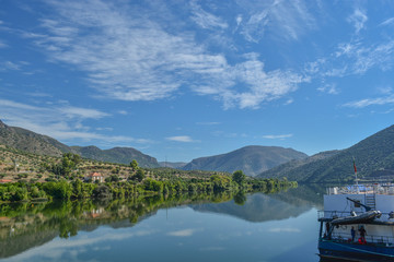 Fototapeta na wymiar Douro river, green vegetation and boat