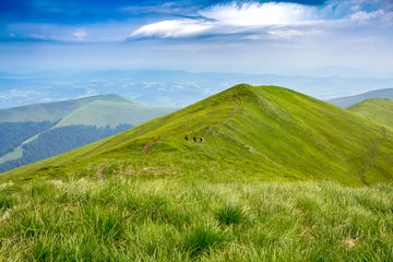 Wall murals Hill Tourists go along the trail at the top of the Borzava ridge, beautiful landscape in European mountains, green hills in sun rays, wonderful wallpaper background scene, Carpathians image, Ukraine