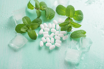 Mint dragee with mint and ice