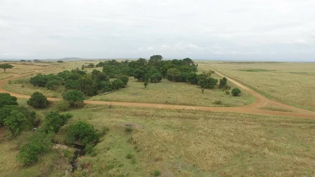 Aerial view of roads in the savanna