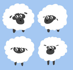 Sheep 