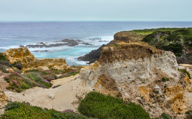 Fototapeta na wymiar Rocky eroded cliffs near a turbulent foggy ocean with purple flowers edging the sand