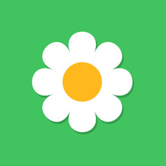 Chamomile flower vector icon in flat style. Daisy illustration on green isolated background. Camomile sign concept.