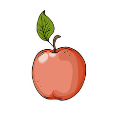 Fresh red apple with green leaf drawn by ink isolated on white background. Hand drawn vector illustration.