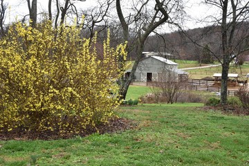 Farm in spring