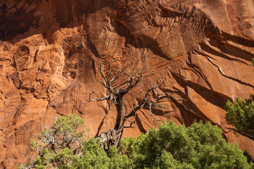Spectacular landscapes of Canyonlands National park in Utah, USA