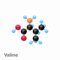Molecular omposition and structure of Valine, Val, best for books and education