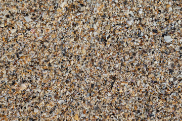 Muschelscherben am Strand für Bildhintergrund.