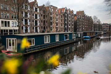 Fototapeta premium Amsterdam