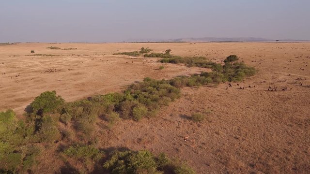 Aerial of African savannah