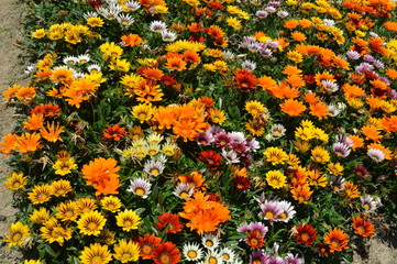 parque europa madrid espanha