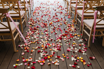 Roses petals scattered on the road. wedding decor. Side view and rear view. Wooden chairs are decorated with pink bow, ribbons and greens in the backyard banquet area. Wedding ceremony.