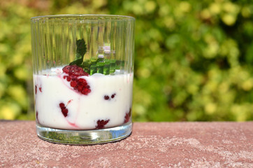 Glass with fresh raspberries, yogurt and mint leaves shot in a garden
