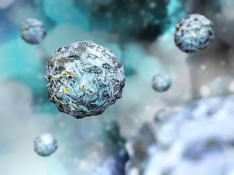 Stem cells, undifferentiated (immature) cells,
3D rendering
