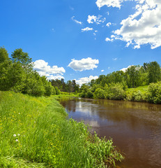 rural summer landscape with forest, river, blue sky and white clouds