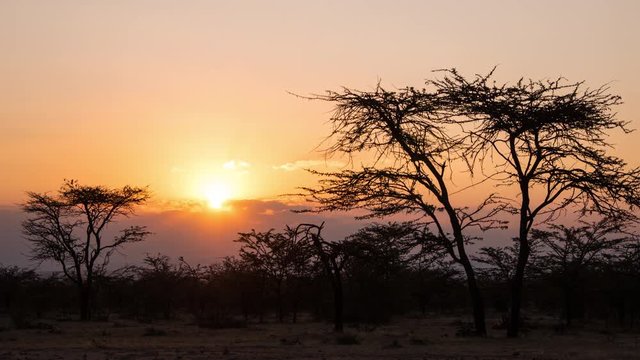 Timelapse of sunset and trees in Maasai Mara