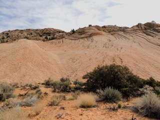 Views of sandstone and lava rock mountains and desert plants around the Red Cliffs National...