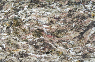 Laesoe / Denmark: Dense carpet of washed up seaweed and algae on the beach at Bloeden Hale in April