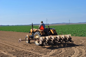 Traktor w polu © bnorbert3