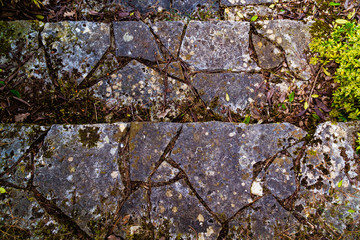 Stone abstract