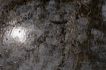 Teich mit Spiegelung eines Baumes im Wasser