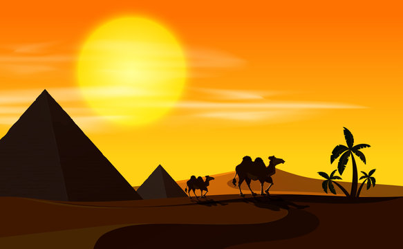 Desert scene with camels at sunset