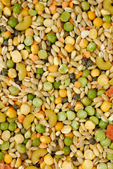 Mixed dried vegetables and pasta for vegan stew or soup - background