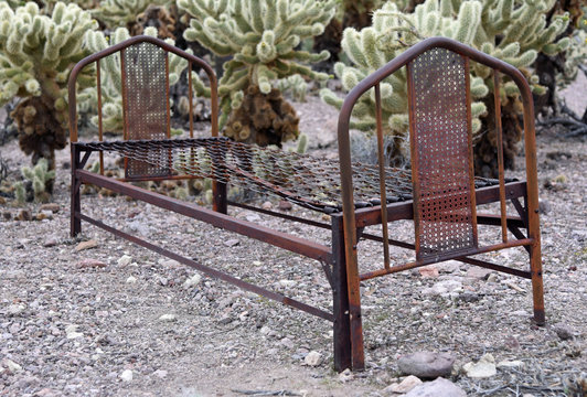 rusted bedstead in front of cholla plants