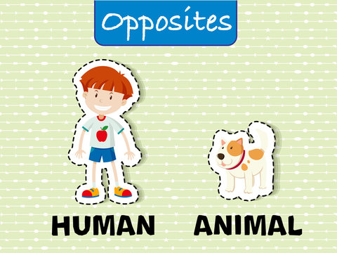 Opposite word education flashcard illustration