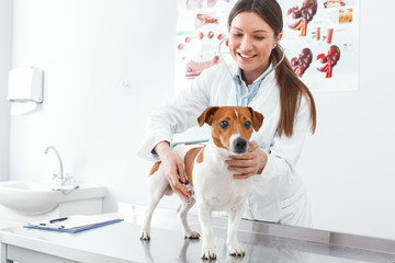 Happiness woman in a white robe listens to the dog's breathing