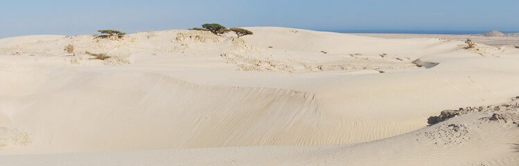 Fototapeta na wymiar Sugar Dunes, Al Khaluf, Oman