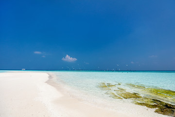 Obraz premium Beautiful tropical beach at Maldives